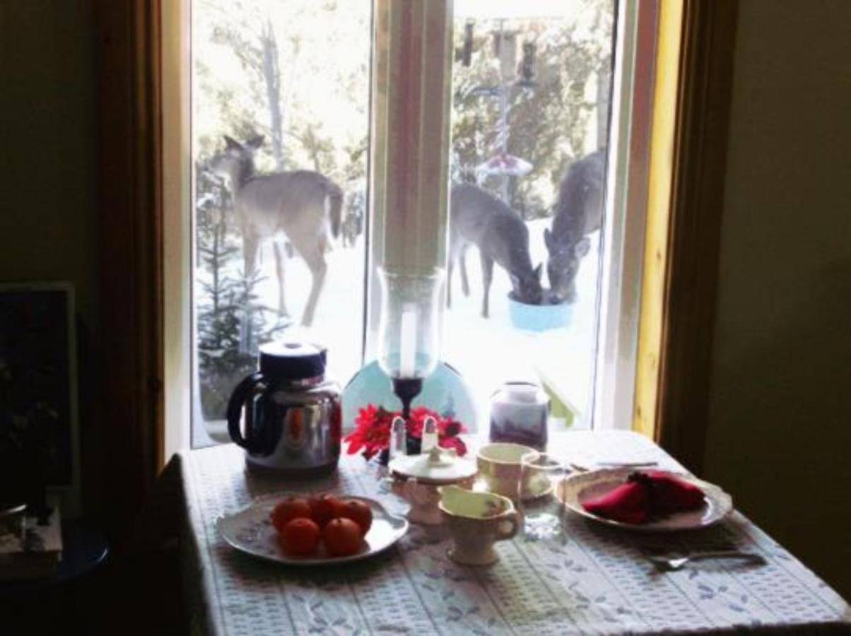 La Petite Douceur Bed & Breakfast Lac Superieur Bagian luar foto