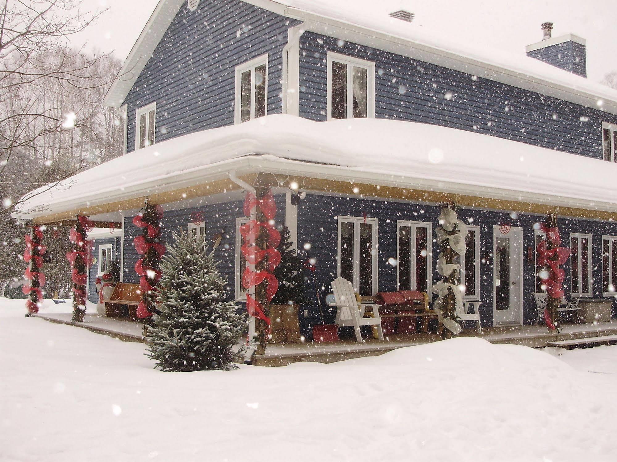 La Petite Douceur Bed & Breakfast Lac Superieur Bagian luar foto