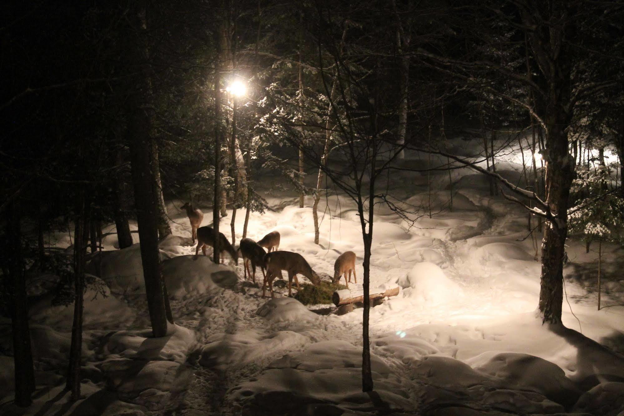 La Petite Douceur Bed & Breakfast Lac Superieur Bagian luar foto